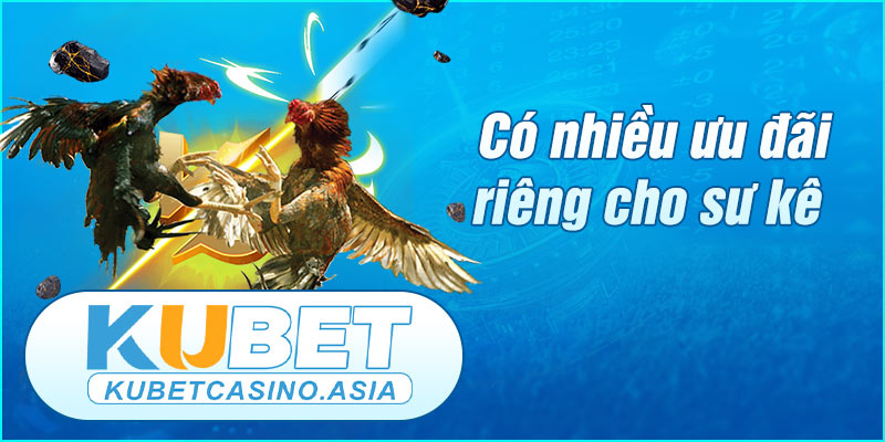 Có những hoạt động ưu đãi riêng cho sư kê Có những hoạt động ưu đãi riêng cho sư kê