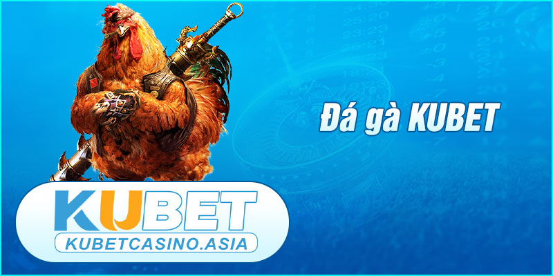 đá gà KUBET