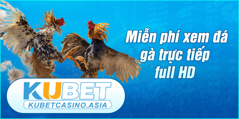 Xem miễn phí đá gà trực tiếp chất lượng cao Xem miễn phí đá gà trực tiếp chất lượng cao