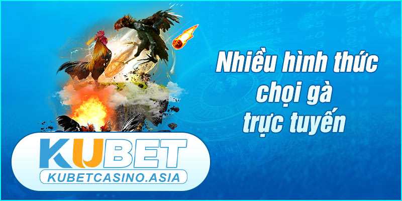 Các hình thức đá gà thông dụng nhất hiện nay Các hình thức đá gà thông dụng nhất hiện nay